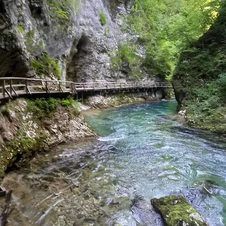 Apartma Marjetica Ii.