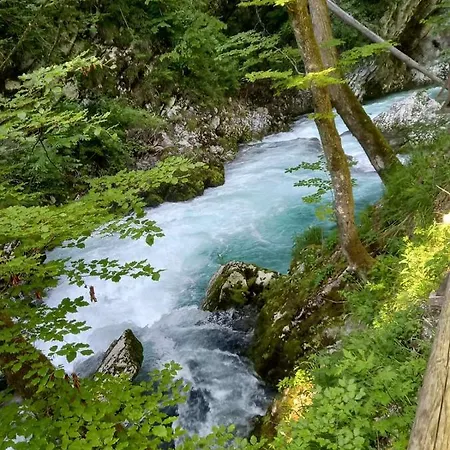 Apartma Marjetica Ii. דירה