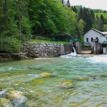 Apartma Marjetica Ii. Blejska Dobrava