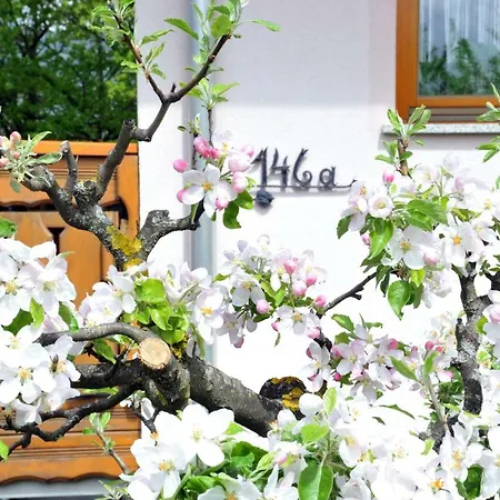 Apartma Marjetica Ii. * Blejska Dobrava