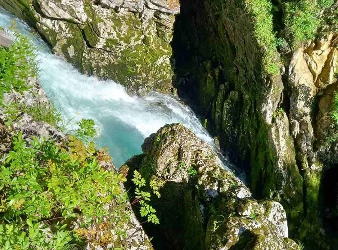 Apartma Marjetica Ii. Blejska Dobrava