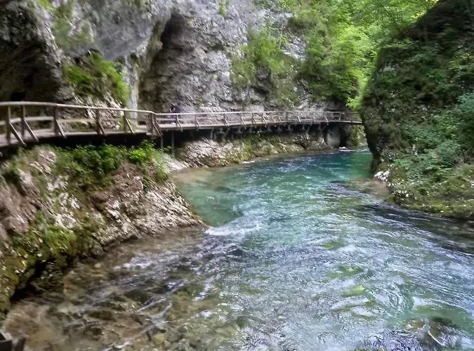 Apartma Marjetica Ii.