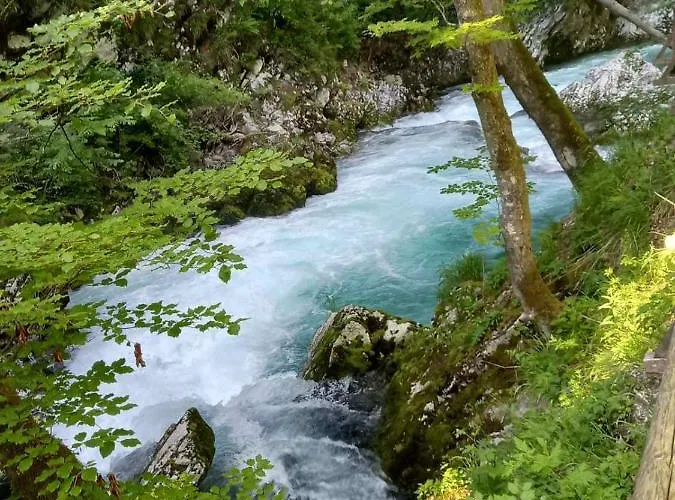 Apartma Marjetica Ii. アパート