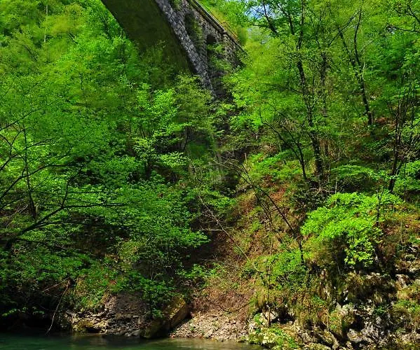 Apartma Marjetica Ii. * Blejska Dobrava