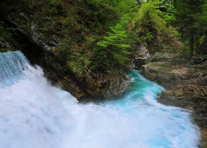 Διαμέρισμα Apartma Marjetica Ii. Blejska Dobrava