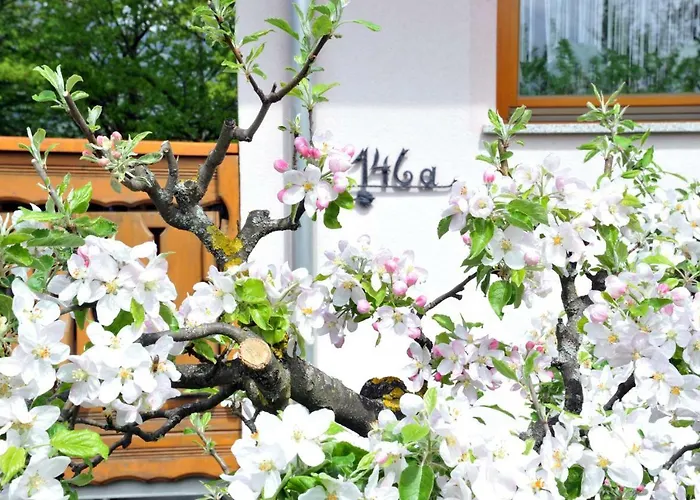 Apartma Marjetica Ii. * Blejska Dobrava